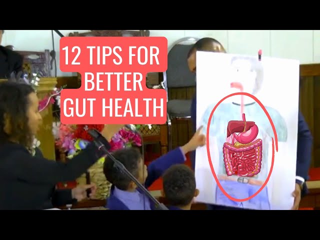✔️ 12 TIPS for Better Digestion + Awesome Facts about your Guts