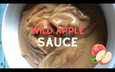 Wild Apple Sauce Recipe – Super Easy    – The Bible Diet