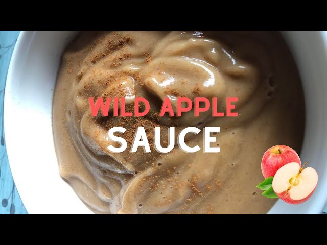 Wild Apple Sauce Recipe – Super Easy 🍎 🍏 🍎 – The Bible Diet