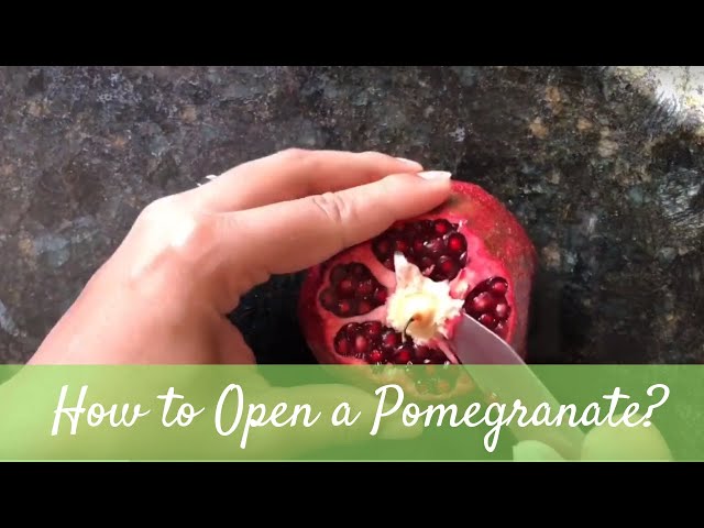 The QUICKEST & EASIEST way to open a Pomegranate