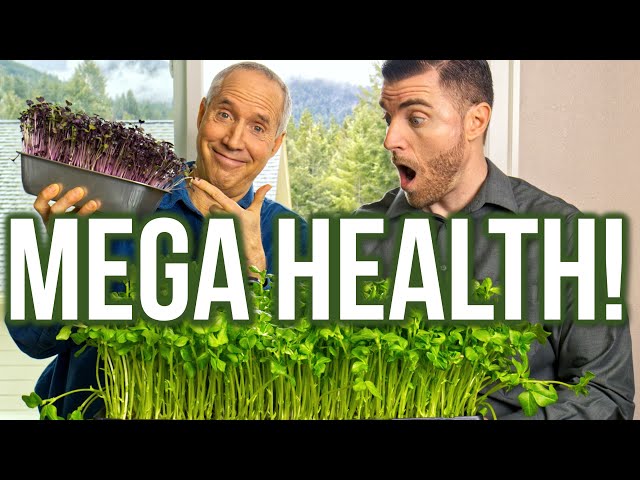 Mega Health: SPROUTING with Steve Wohlberg! – Hope through prophecy