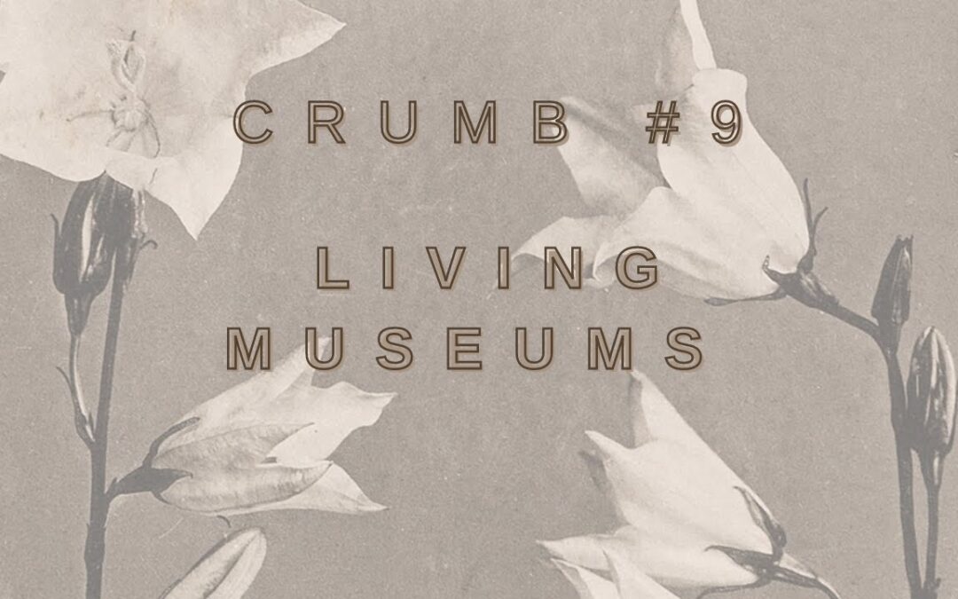 Crumbs on the Wall – Living Museums | Encouragement