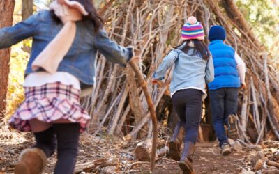 How to Build a Shelter in the Time of Storm with Your Kids + Object lesson